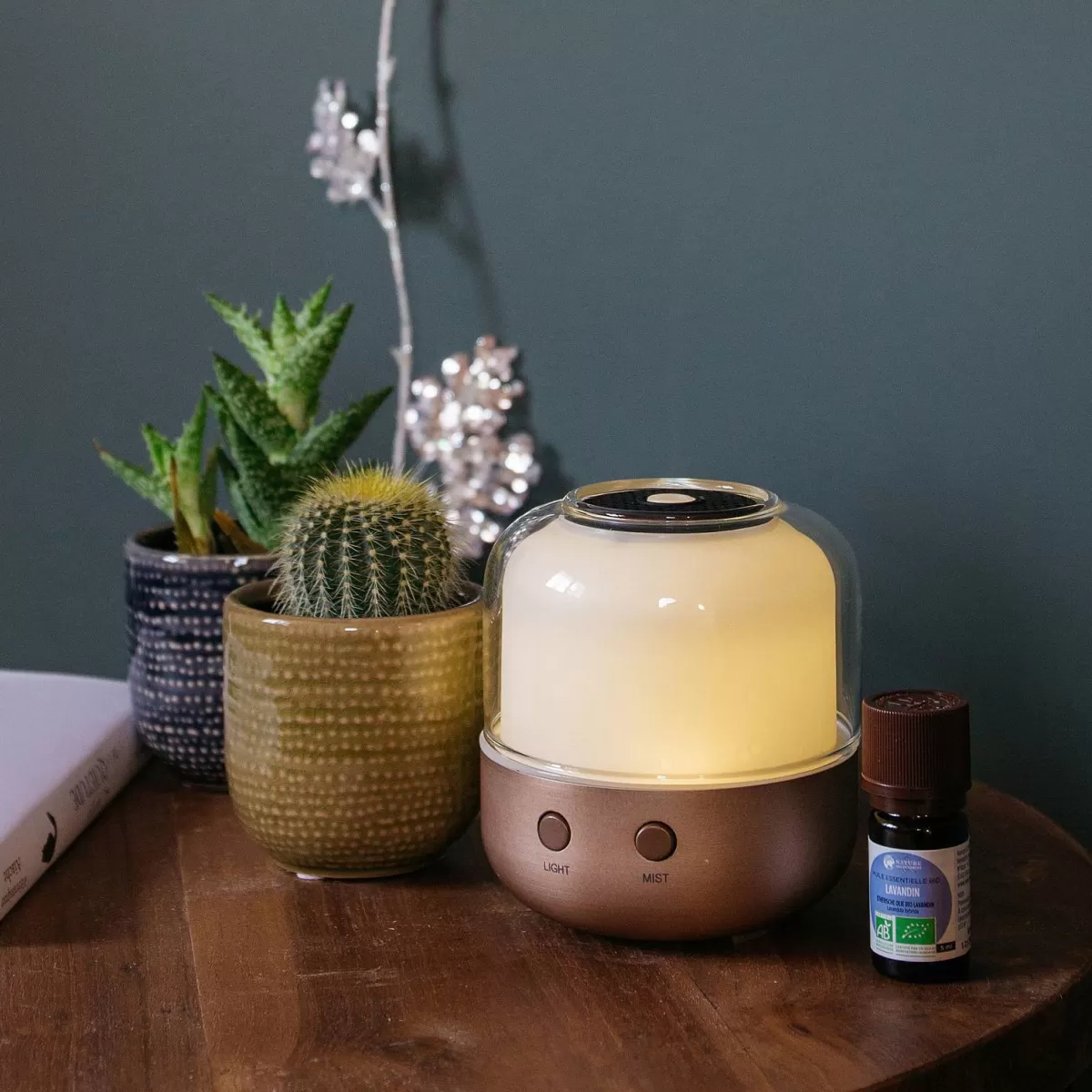Nature & Découvertes - Élégant Diffuseur Élo pour Huiles Essentielles et Brume Parfumée | Ambiance Zen et Naturelle