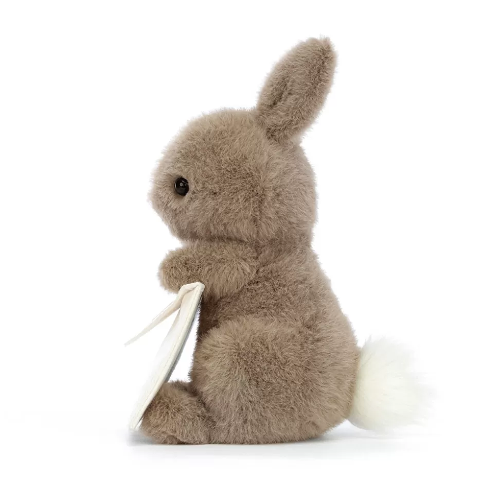 Lapinou Messager Réconfortant Jellycat - Doudou Peluche Tendresse pour Câlins Doux